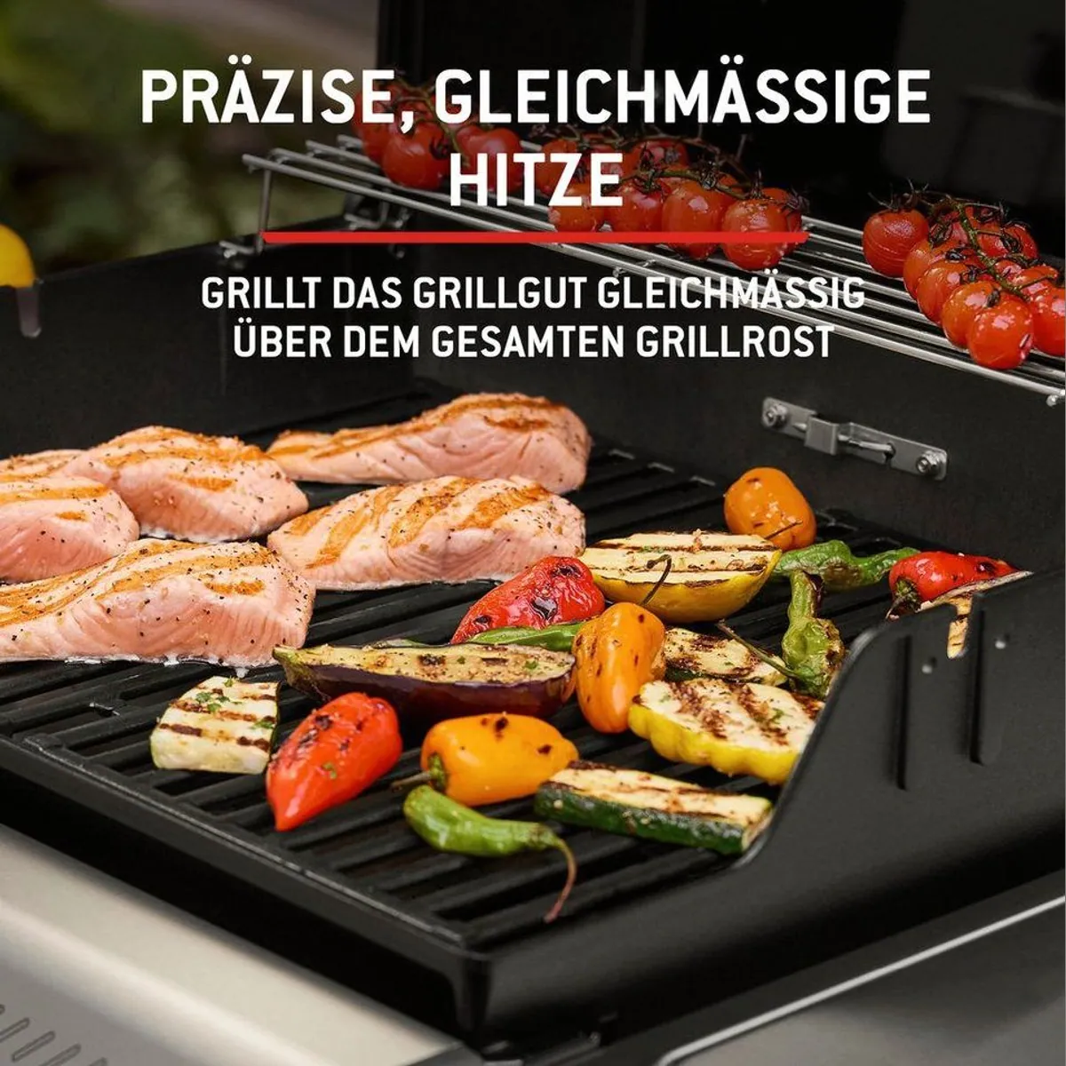 Weber Spirit E-210 Gasgrill, kompakt, leistungsstark, Edelstahl Flavorizer Bars 4