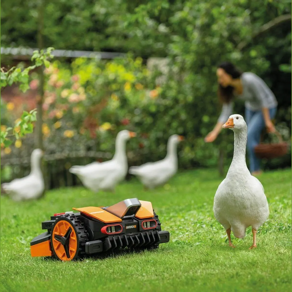 Worx Landroid Vision L1600 Mähroboter, bis 1600 m² Rasenfläche, intelligente Hindernisvermeidung 5
