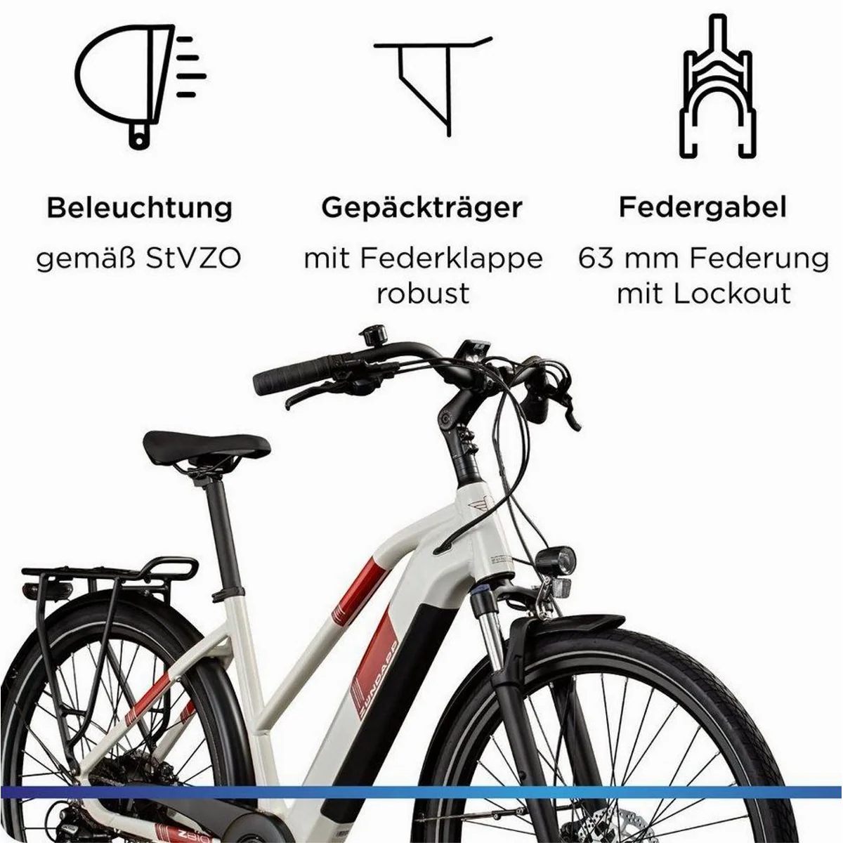 Zündapp Z810 E-Bike Trekkingrad, 8-Gang Shimano, 550 Wh Akku, Komfortables Fahrvergnügen 4