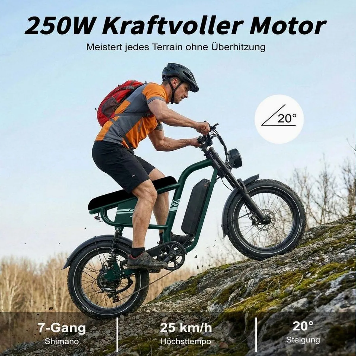 ZWHEEL MX10 E-Bike Cityrad, robustes Retro-Design, 100 km Reichweite, 250W Heckmotor 3